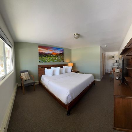 Newcastle Sage Motel المظهر الخارجي الصورة