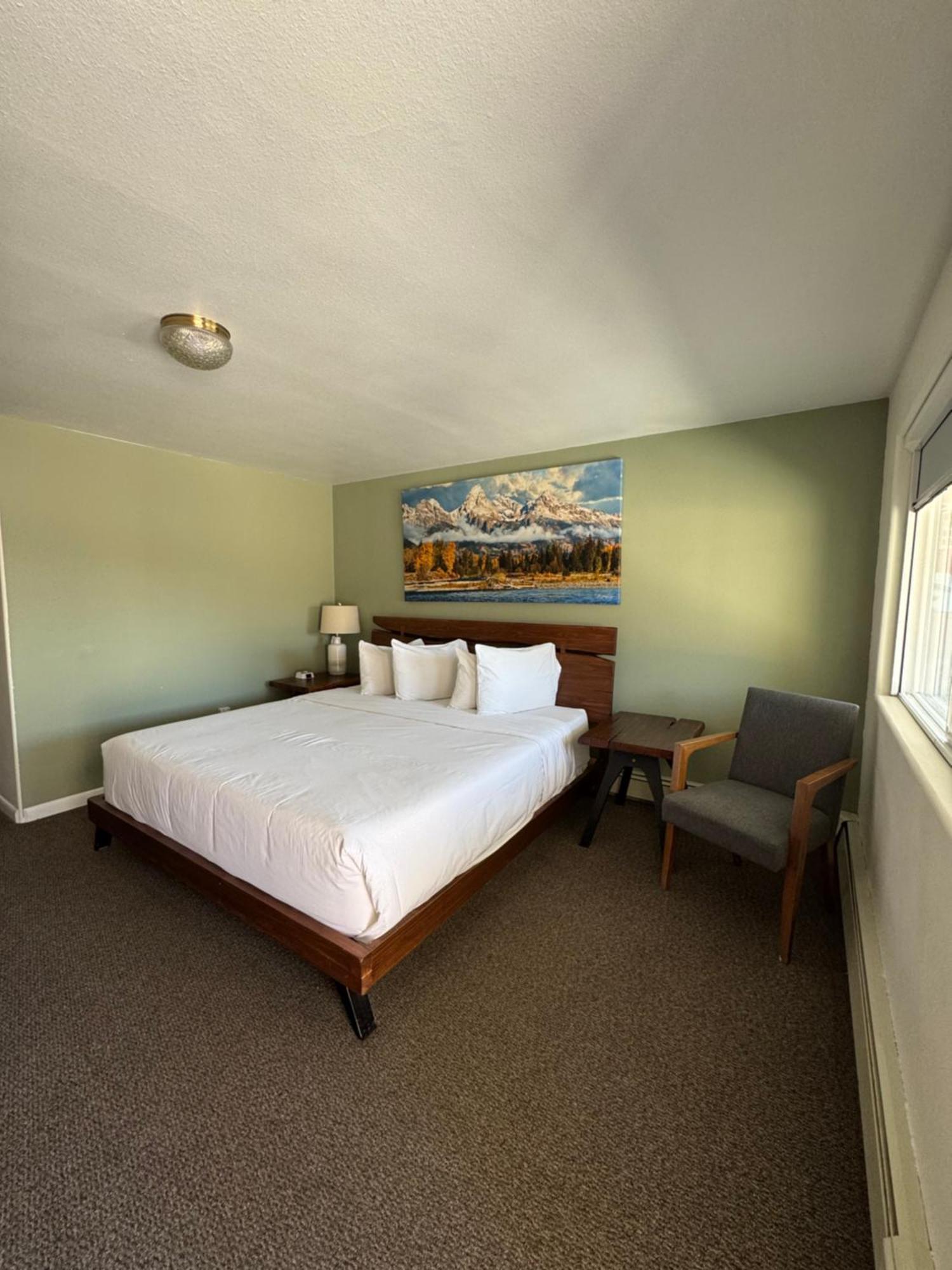 Newcastle Sage Motel المظهر الخارجي الصورة